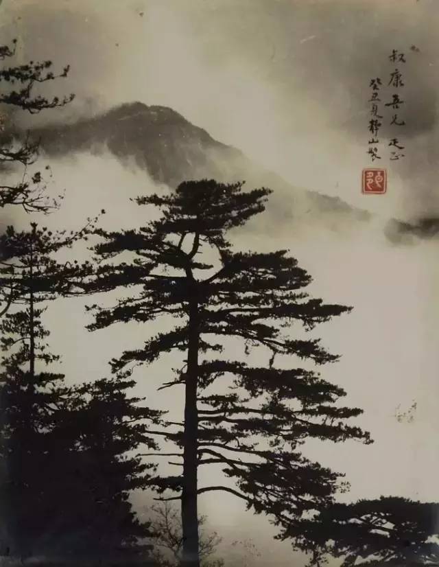 碧海墨锋最新引领时代风潮，我的见解与赏析