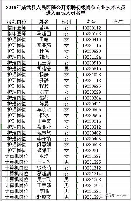 成武县最新招聘信息全面概览