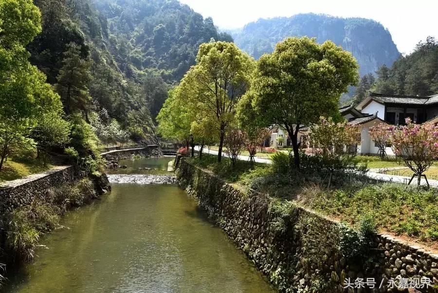 快活林最新动态，自信与成就感的魔法森林，变化中的学习之旅