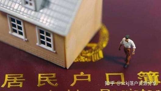 户籍政策最新动态与巷弄深处的独特风味探秘