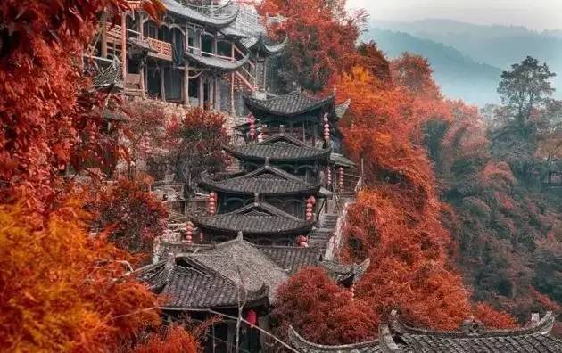 最新修真小说排行榜，探索自然美景之旅，寻找内心平和的旅程