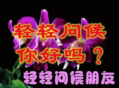自如最新事件概述及步骤指南