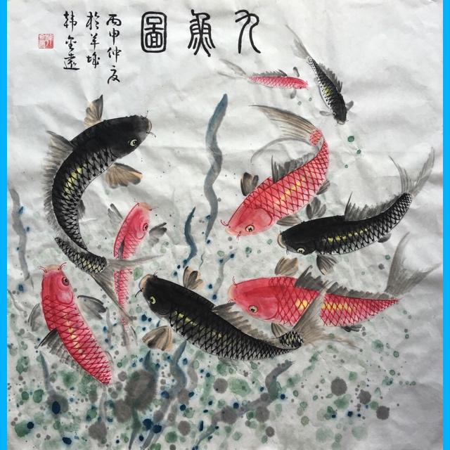 舒畅最新电视剧，自然美景的治愈之旅，探寻内心平和与喜悦的旅程