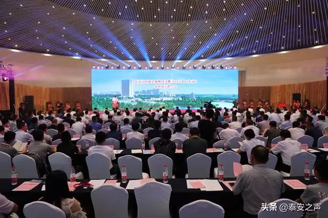 宁阳招聘网最新招聘信息汇总，观点论述与职位一览