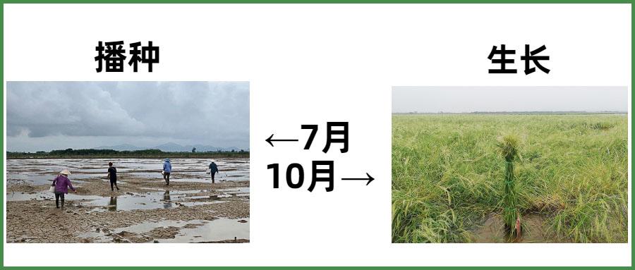 自然美景探索之旅 第17页