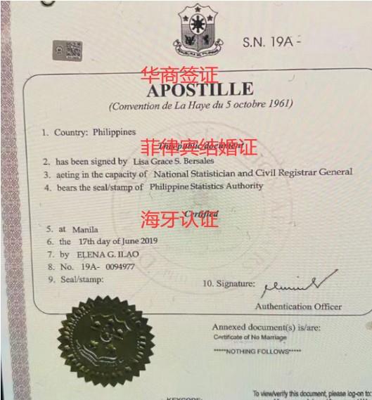 菲律宾最新签证消息及其影响，一种观点深度解析