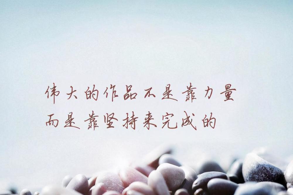 最新审美趋势下的丰满魅力，观点分析与阐述