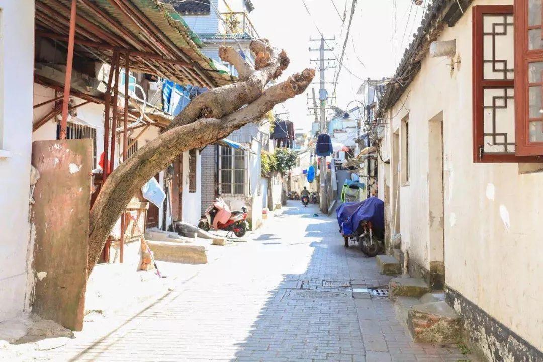 最新楼市动态与小巷深处的特色小店揭秘