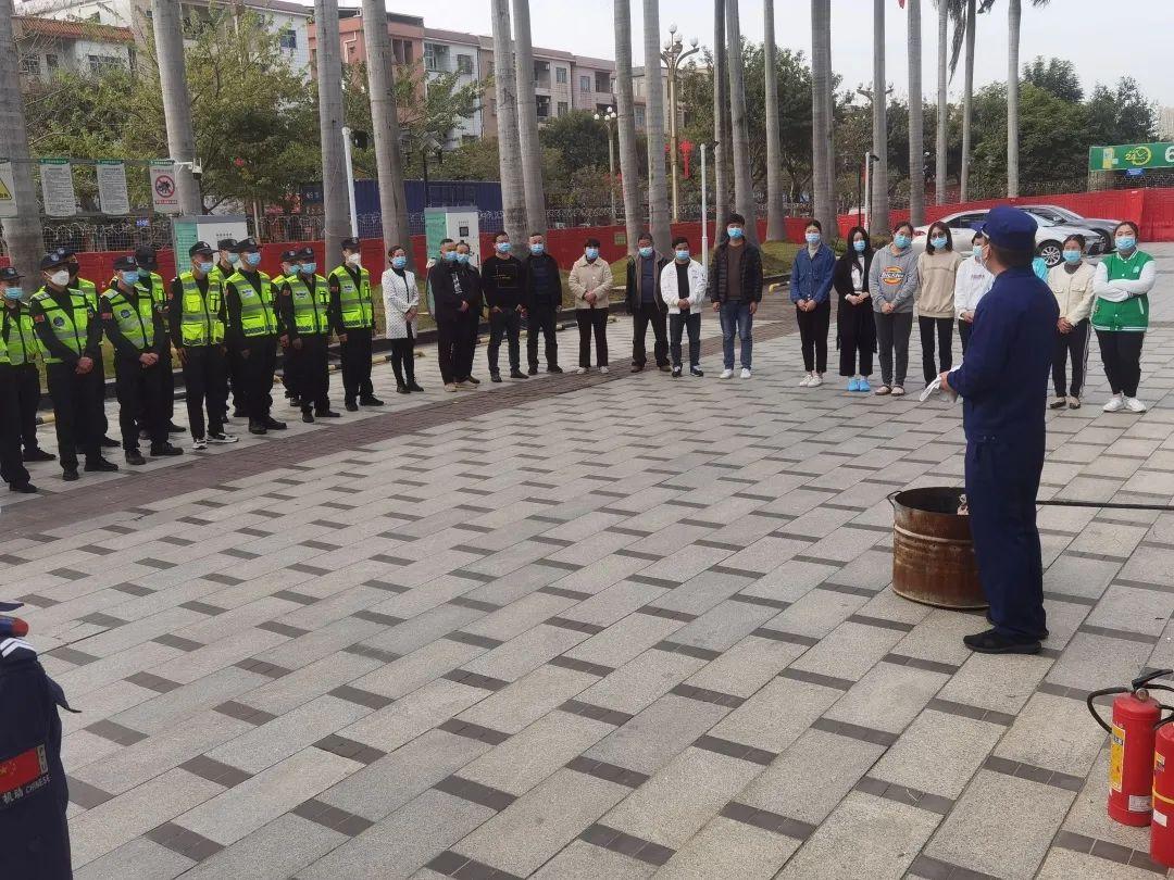 东莞疫情下的自然探索之旅，寻求内心的宁静与平和