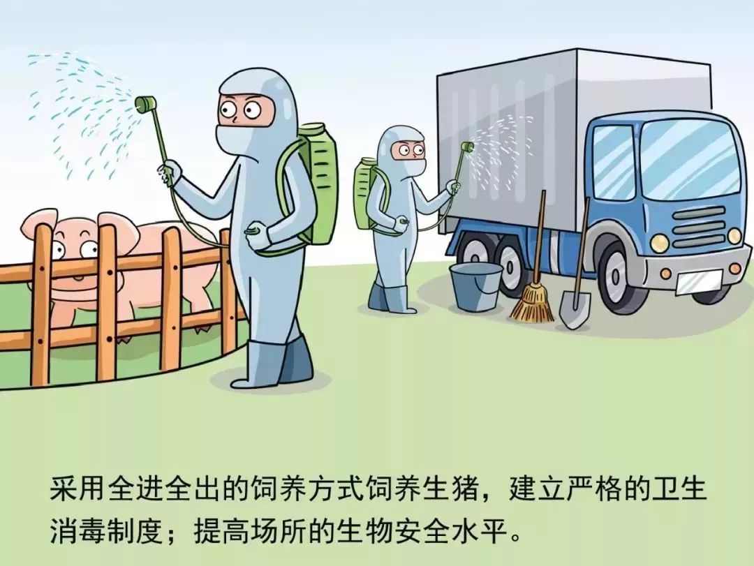 最新疫情下的防护与应对步骤指南，全方位保护你的健康与安全