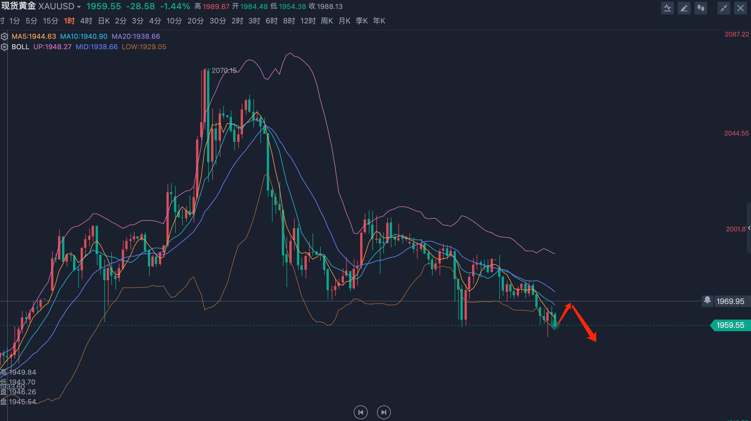 最新金价行情动态更新
