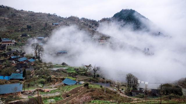 荆州最新动态，探索自然美景，重获内心宁静与平和之旅
