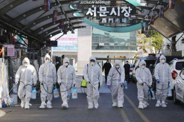 韩国最新疫情全面解析及关注焦点