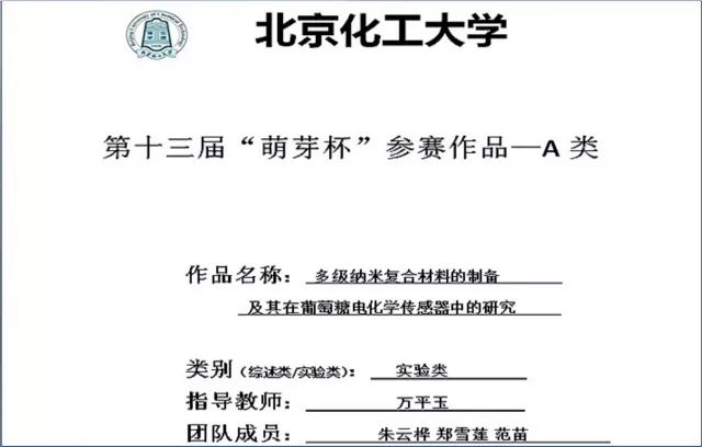 掌握镁知识，全面步骤指南最新更新版