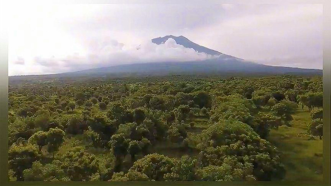 最新热门电影探索自然美景的治愈之旅，带你领略视觉盛宴