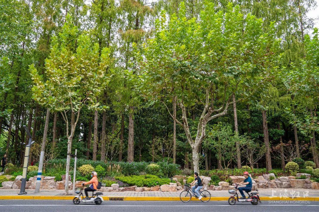 一线城市的自然美景探索之旅