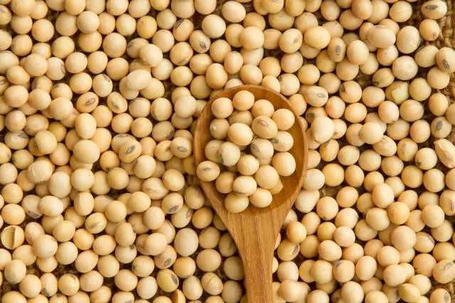 最新黄豆价格概览，市场走势、影响因素与科普知识全解析