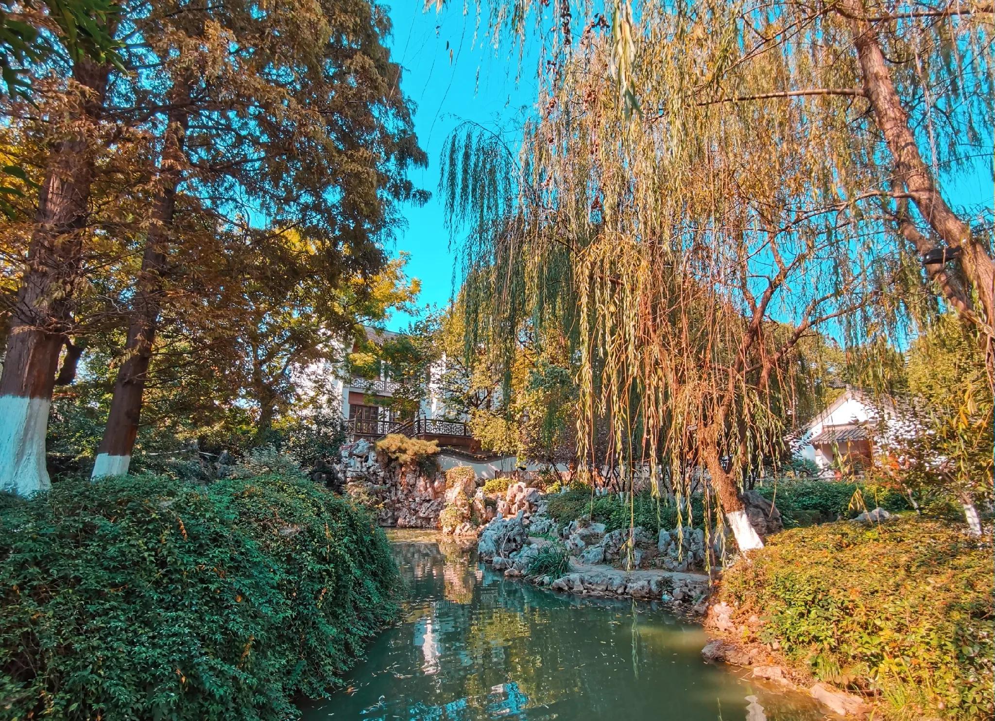 最新资金盘，自然美景的治愈之旅探索