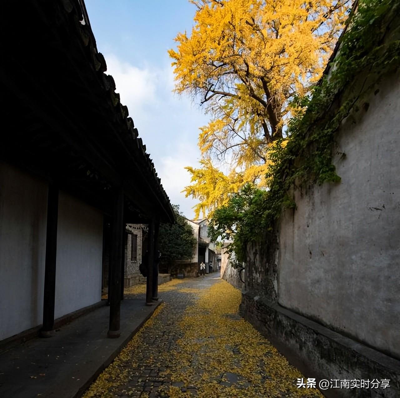 探索小巷宝藏，下载最新微信版本体验分享