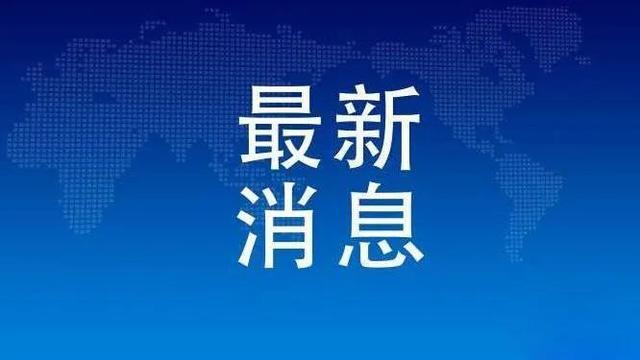 合肥疫情最新动态与观点论述