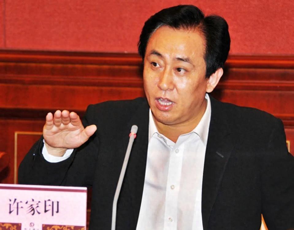 王健林最新视频，商界巨头展现风采与智慧启示的启示录
