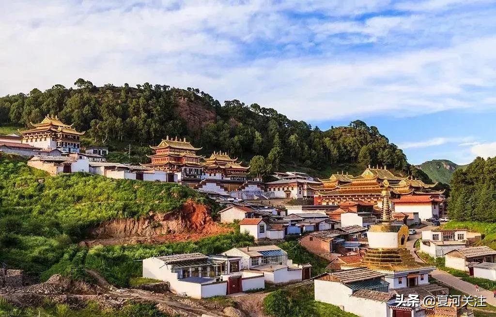 最新生猪价格行情，与自然美景相遇，探寻内心平和之旅