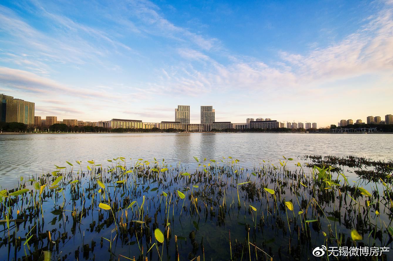 无锡房价最新动态，市场趋势深度解析与多元观点分析