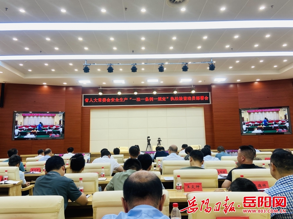 岳阳最新新闻报道