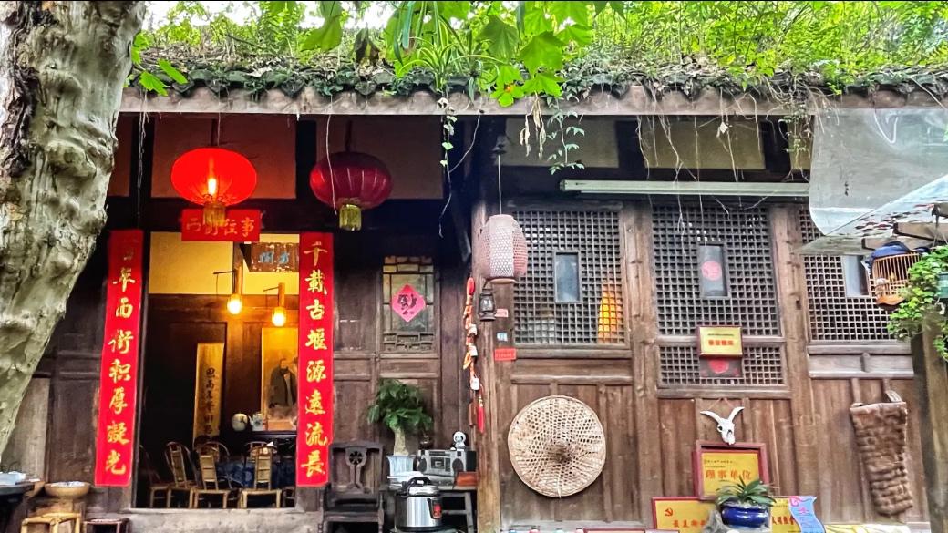 最新环保项目揭秘，小巷中的绿色宝藏