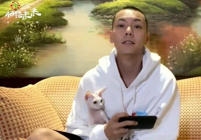 周迅最新电影,🎬周迅最新电影，不容错过的视觉盛宴！🎬