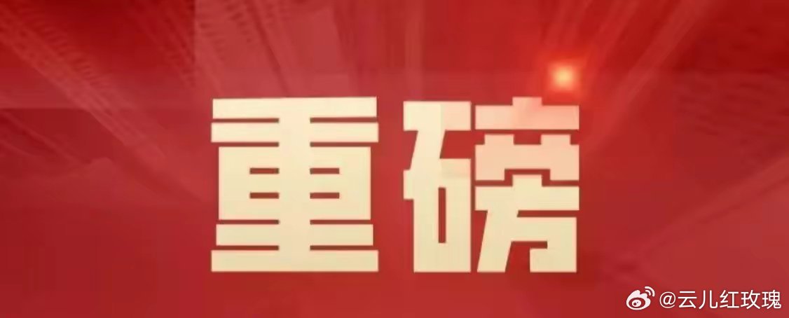 庞大最新消息揭秘，震撼来袭，一切细节大揭晓