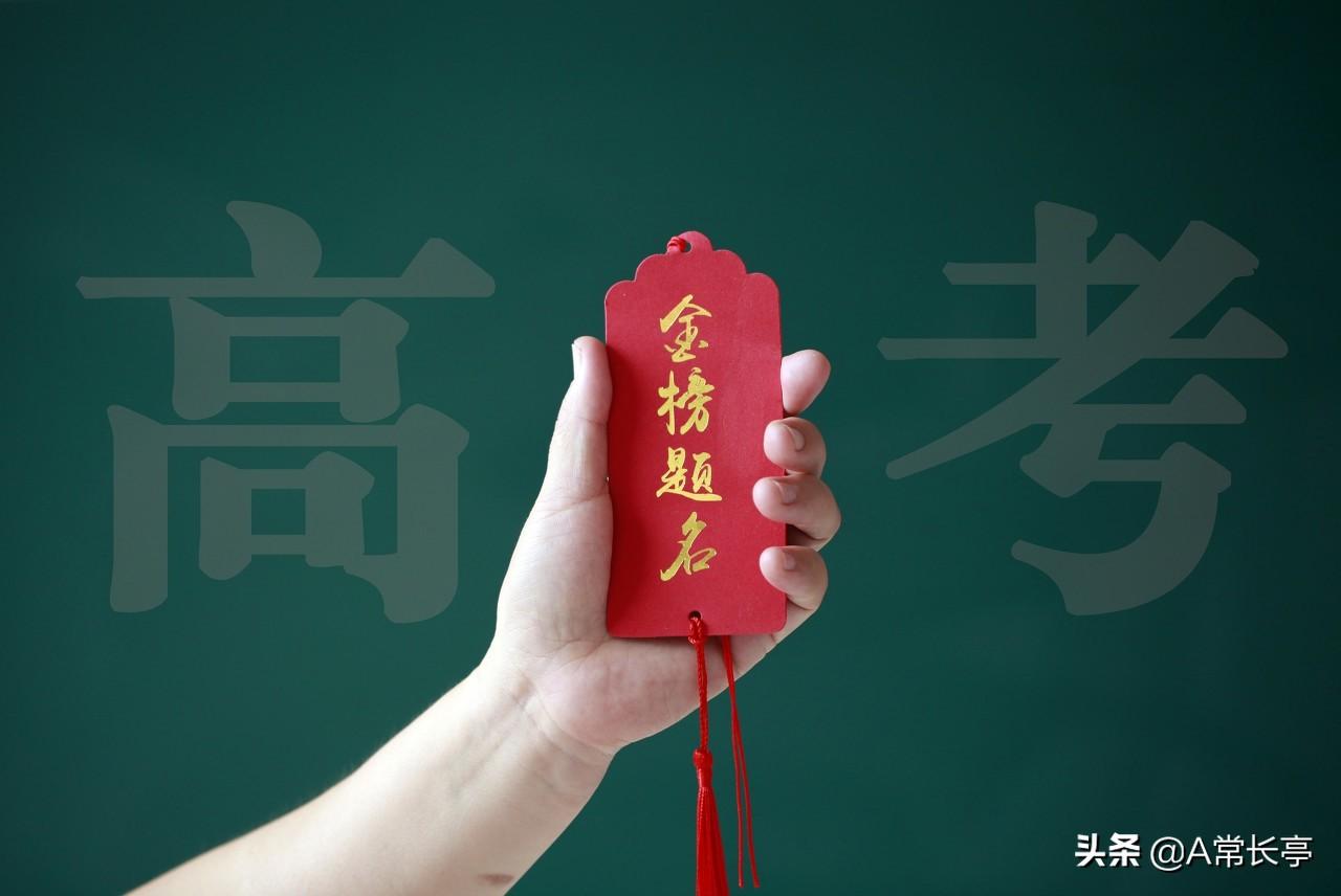 股市最新动态与温馨日常故事分享