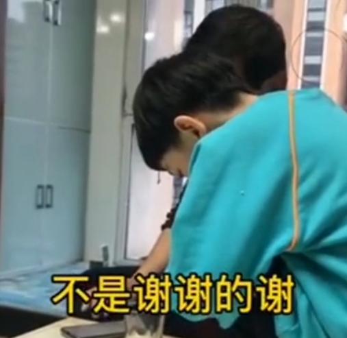 樱桃新品种探寻之旅，自然美景与内心平静的追寻