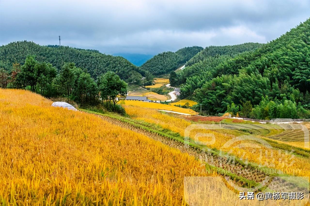 赣州高铁最新动态，启程探索自然美景的旅程！