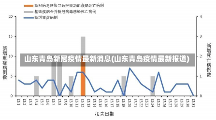 山东青岛最新疫情观点论述解析