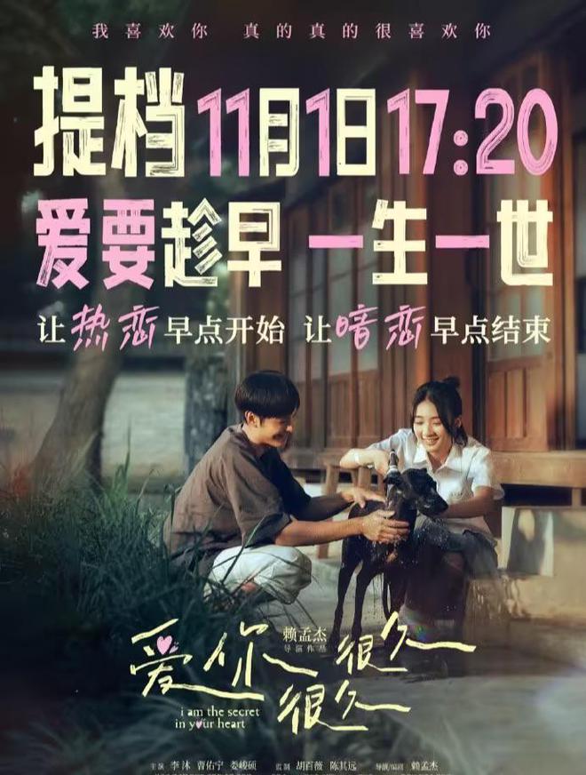 最新电影链接，一段温馨日常的故事开启观影之旅