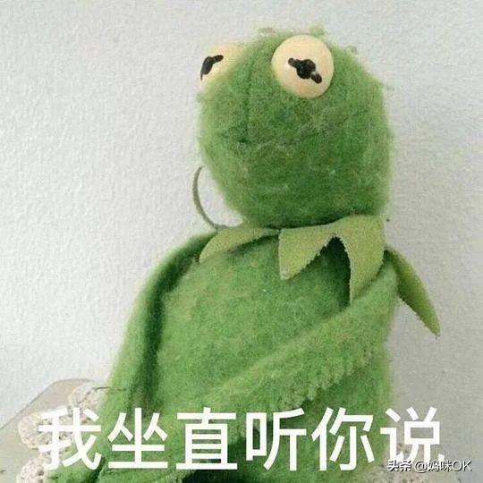 武功县最新规划深度探寻小巷独特风味