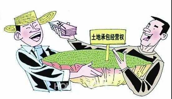 集体土地最新政策，心灵与自然的和谐之旅