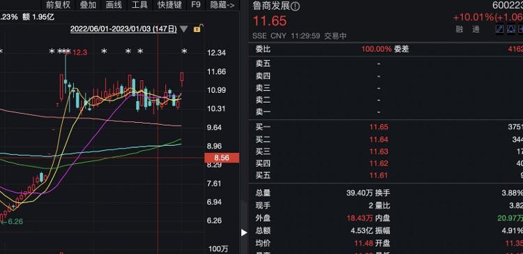 揭秘隐藏小巷深处的独特小店，最新600275消息速递
