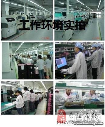 荥阳厂最新招聘信息概览