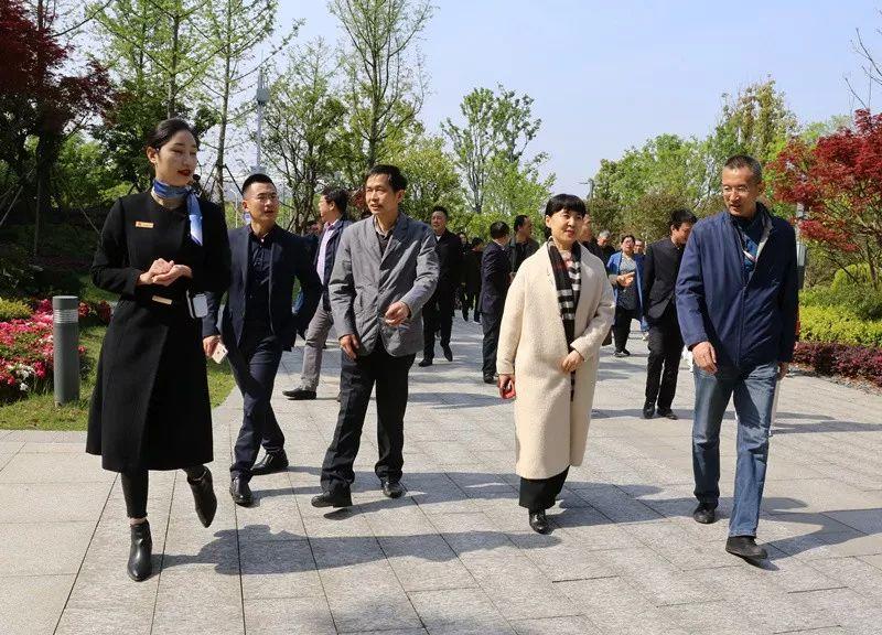 揭秘左岭最新发展动态与新闻速递