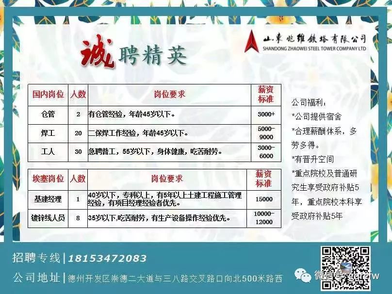 黑山最新招聘信息详解，求职者的必备参考与探讨