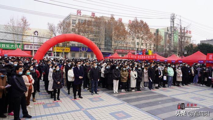 兴平2017最新招聘，全面解析与观点论述