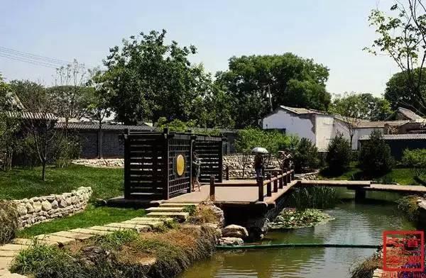 最新推理剧与探索自然之旅，内心平和的追寻