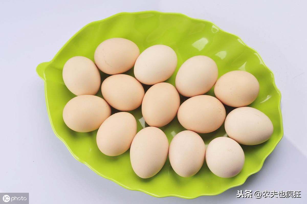 最新专家鸡蛋价格预测，洞悉市场动态，助力决策，培养自信乐观心态
