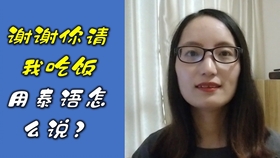 霞飞双颊最新小说深度解析与观点阐述