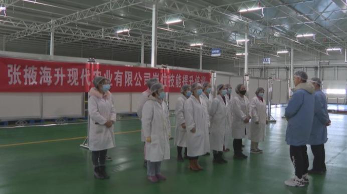 民乐最新招聘信息汇总