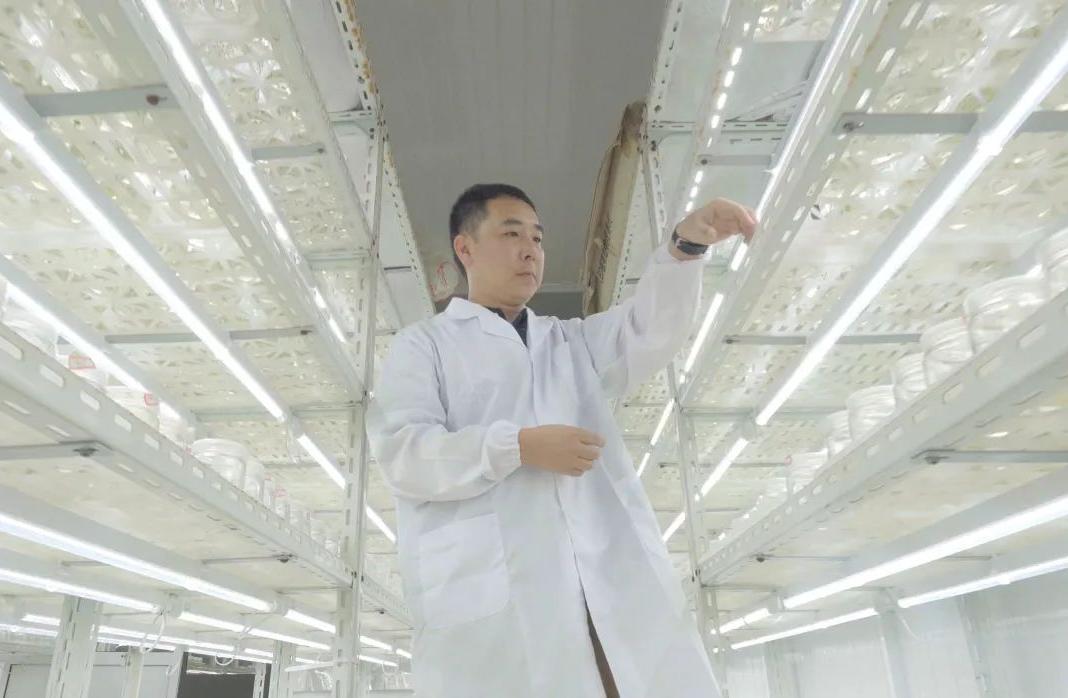 江阴木工最新招聘，科技重塑木工艺术，开启未来工匠之旅体验