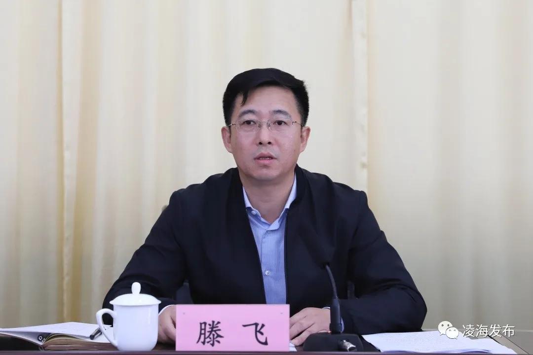 凌海佟刚最新信息揭秘，小巷中的美食宝藏探索