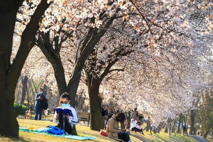 全国疫情最新数据，带着希望与勇气，共赴自然美景之旅